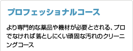 プロフェッショナルコース